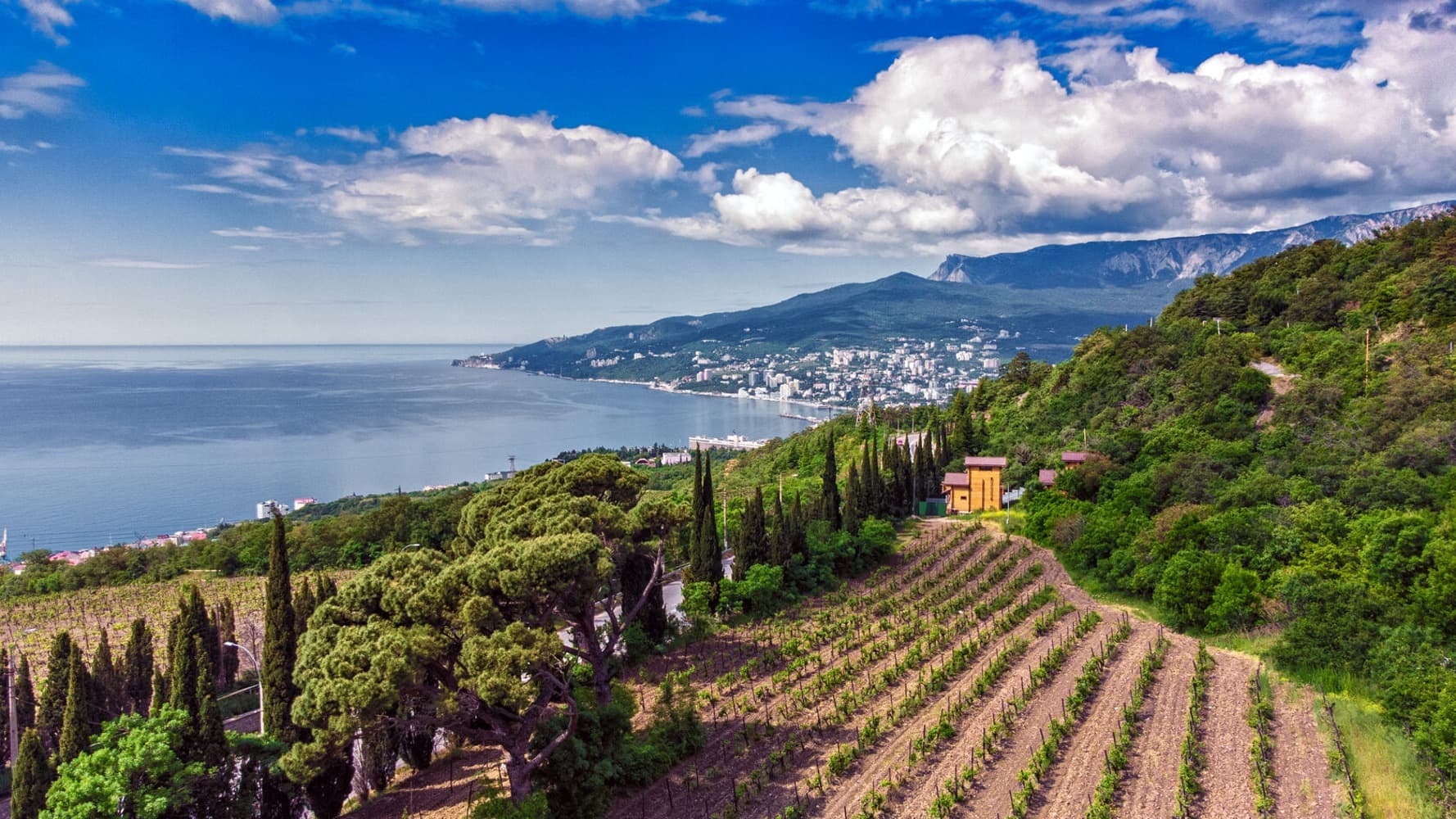 Ялта с высоты птичьего полета