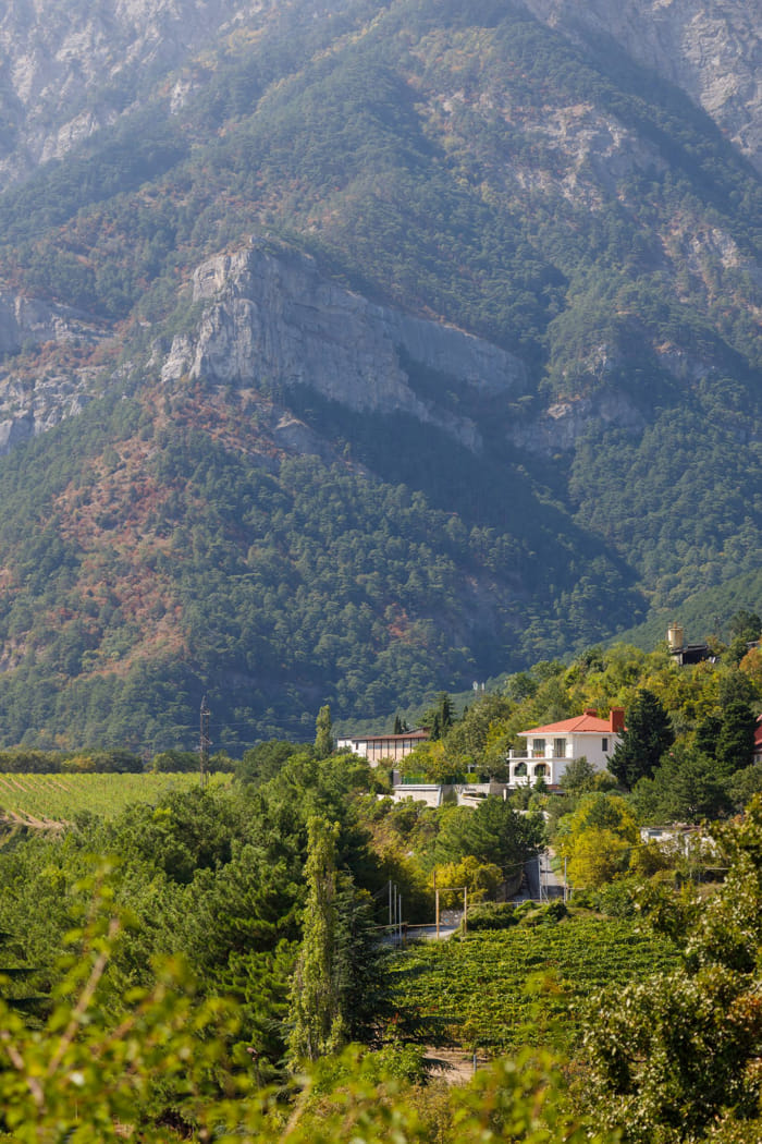 Изображение кнопочки